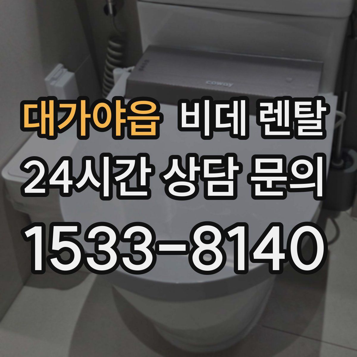 대가야읍 비데 렌탈