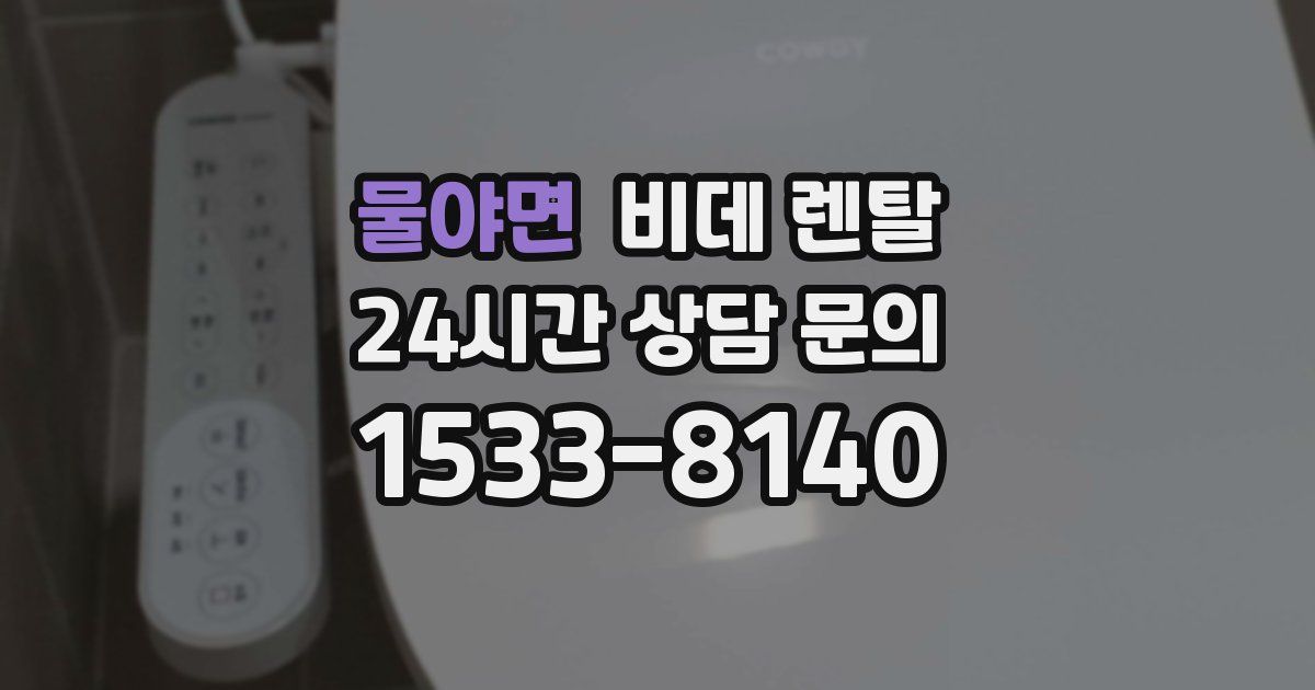 물야면 비데 렌탈