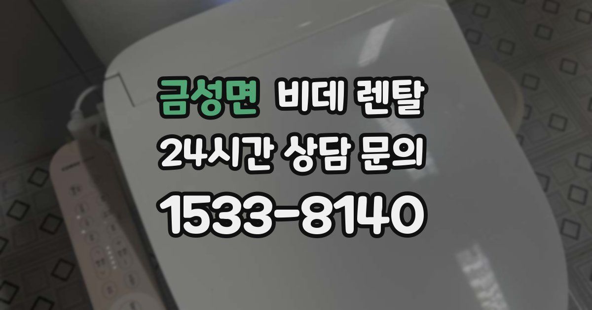 금성면 비데 렌탈
