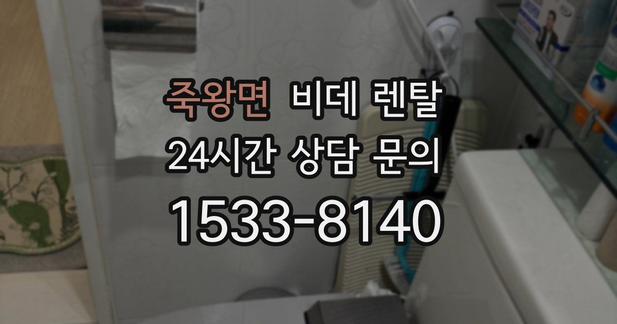 죽왕면 비데 렌탈