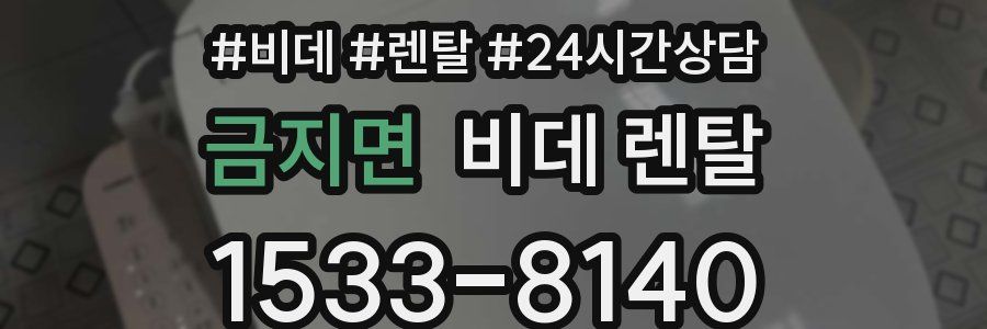 금지면 비데 렌탈