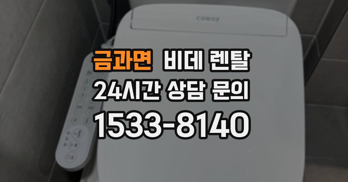 금과면 비데 렌탈