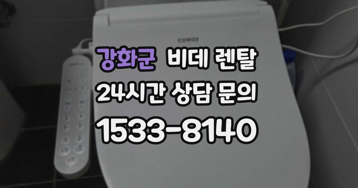 강화군 비데 렌탈