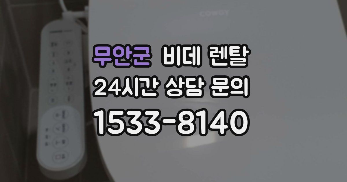 무안군 비데 렌탈