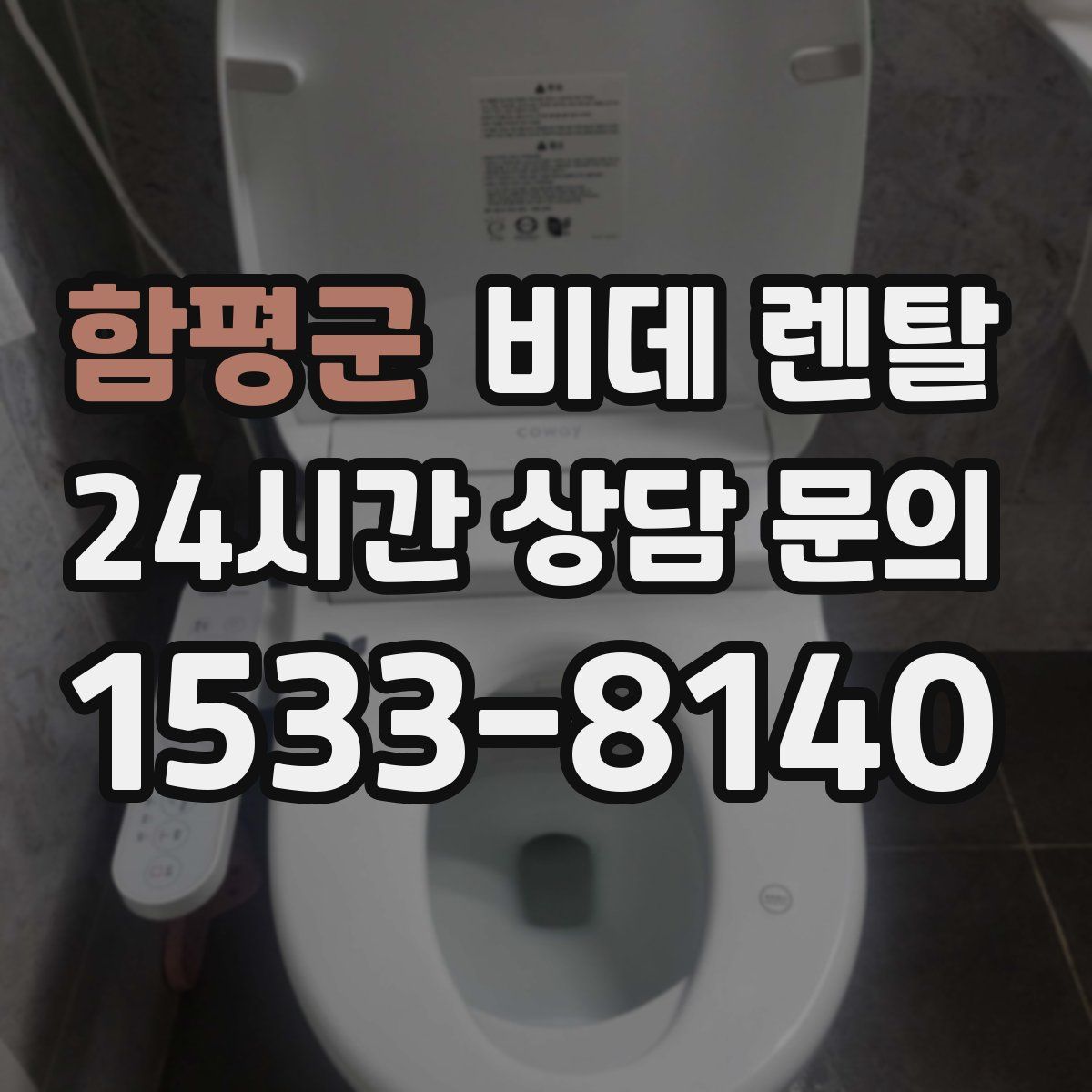 함평군 비데 렌탈
