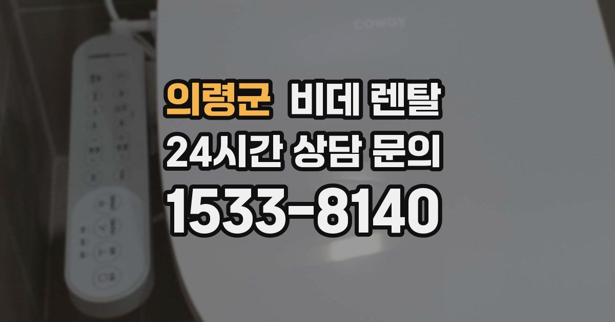 의령군 비데 렌탈