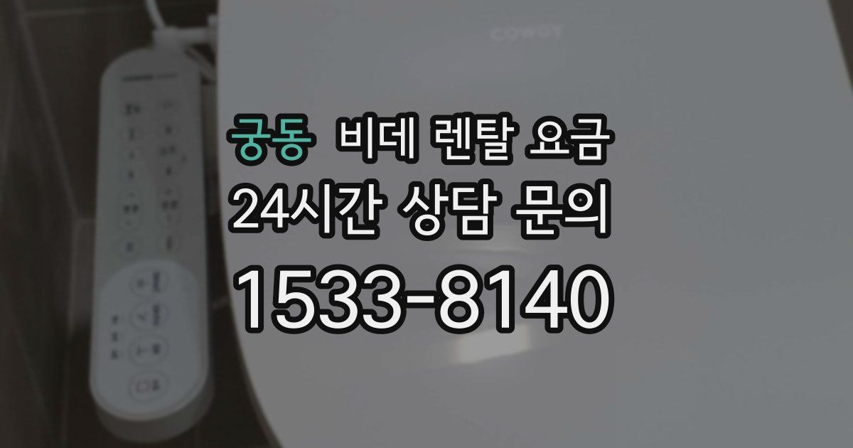 궁동 비데 렌탈 요금