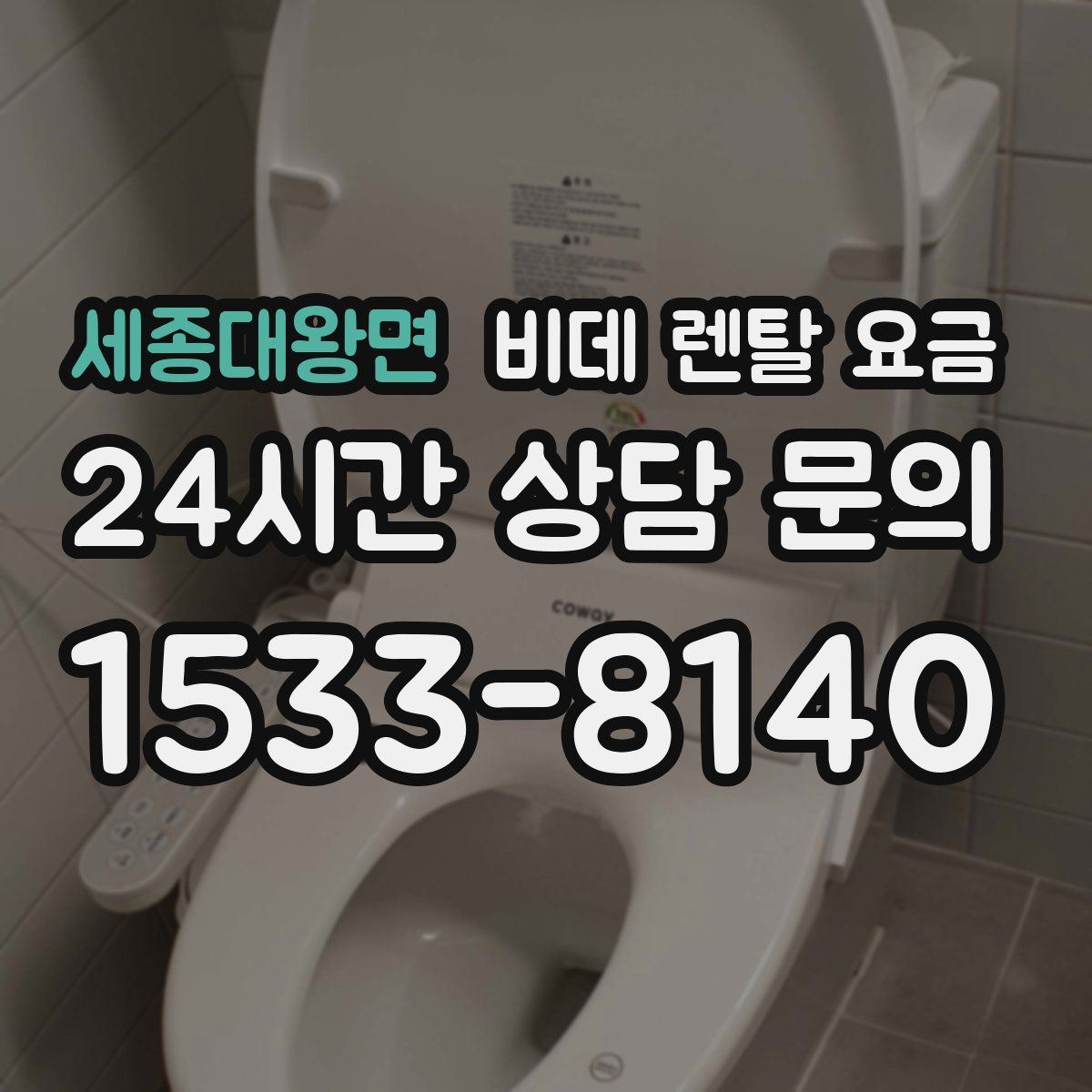 세종대왕면 비데 렌탈 요금