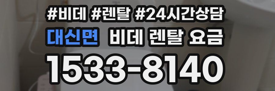 대신면 비데 렌탈 요금
