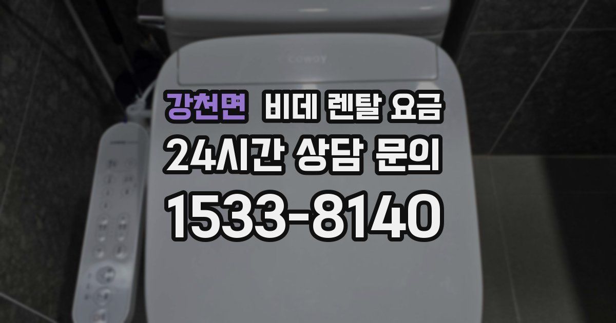 강천면 비데 렌탈 요금