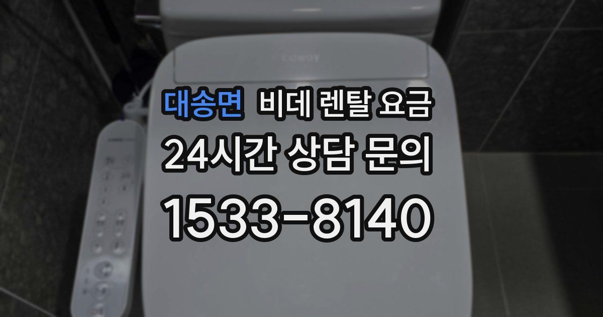 대송면 비데 렌탈 요금