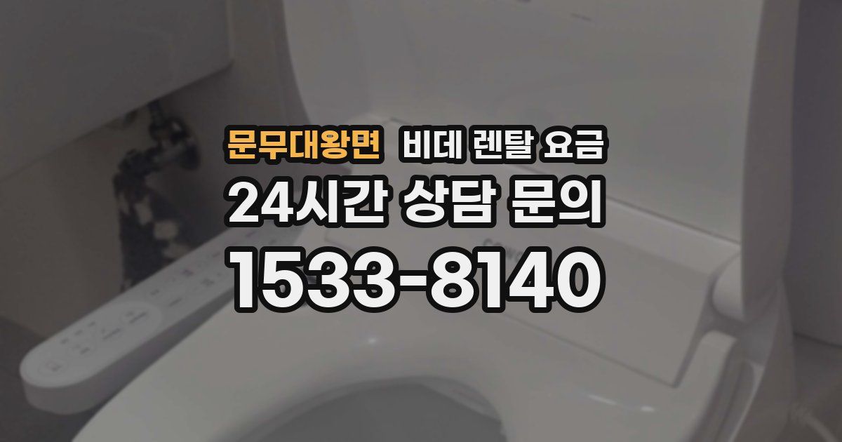 문무대왕면 비데 렌탈 요금