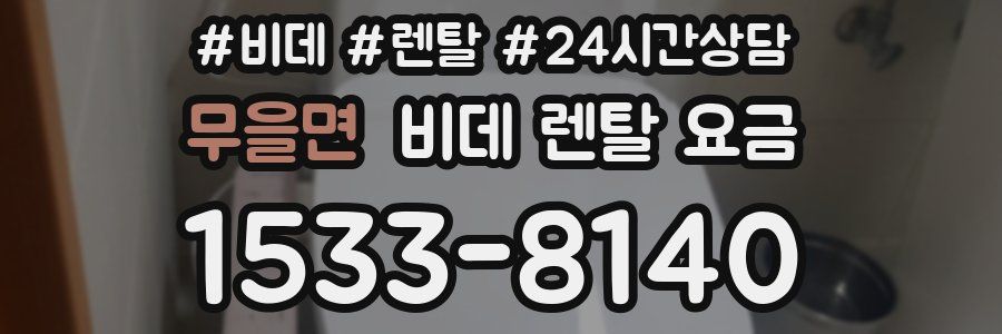 무을면 비데 렌탈 요금