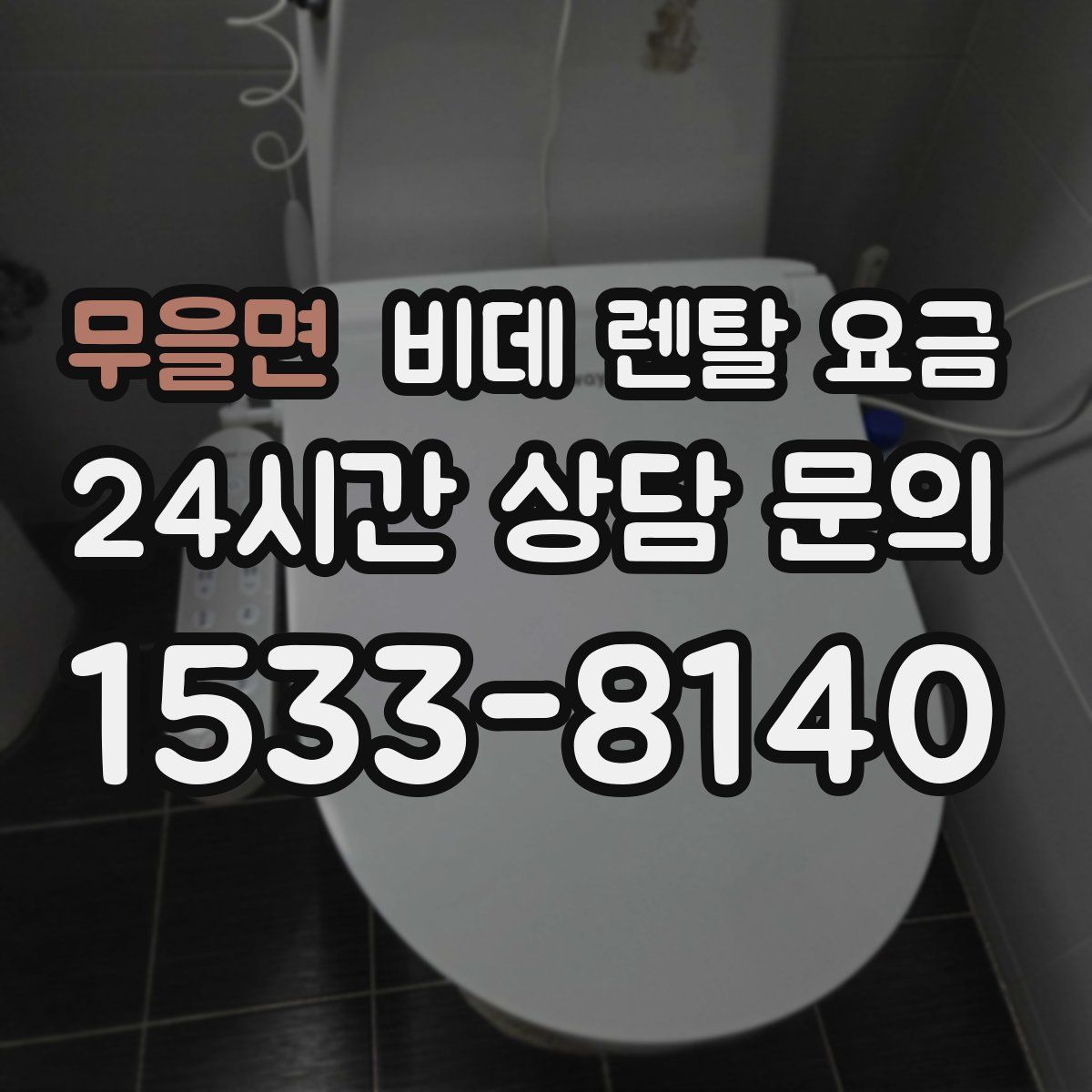 무을면 비데 렌탈 요금