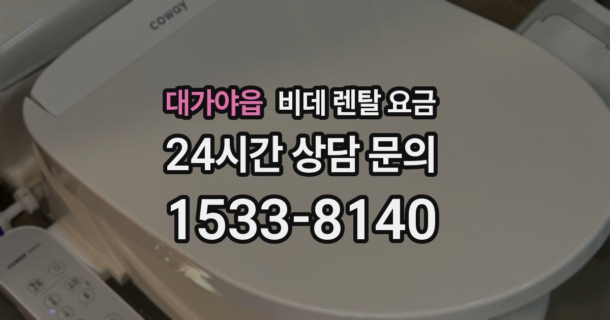 대가야읍 비데 렌탈 요금