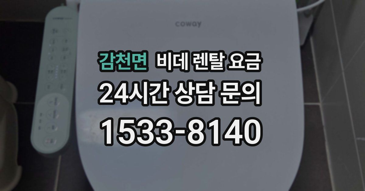 감천면 비데 렌탈 요금