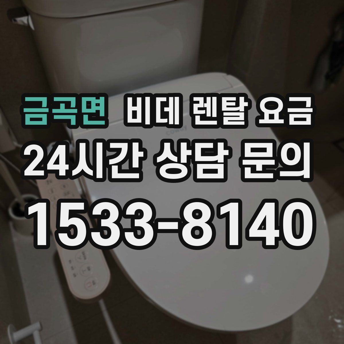 금곡면 비데 렌탈 요금