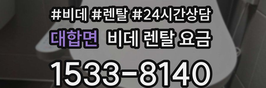대합면 비데 렌탈 요금