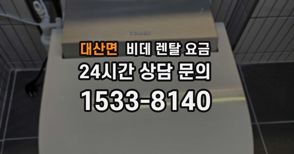 대산면 비데 렌탈 요금