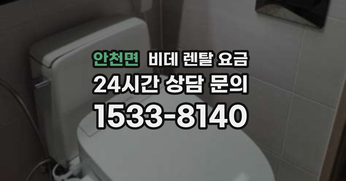 안천면 비데 렌탈 요금