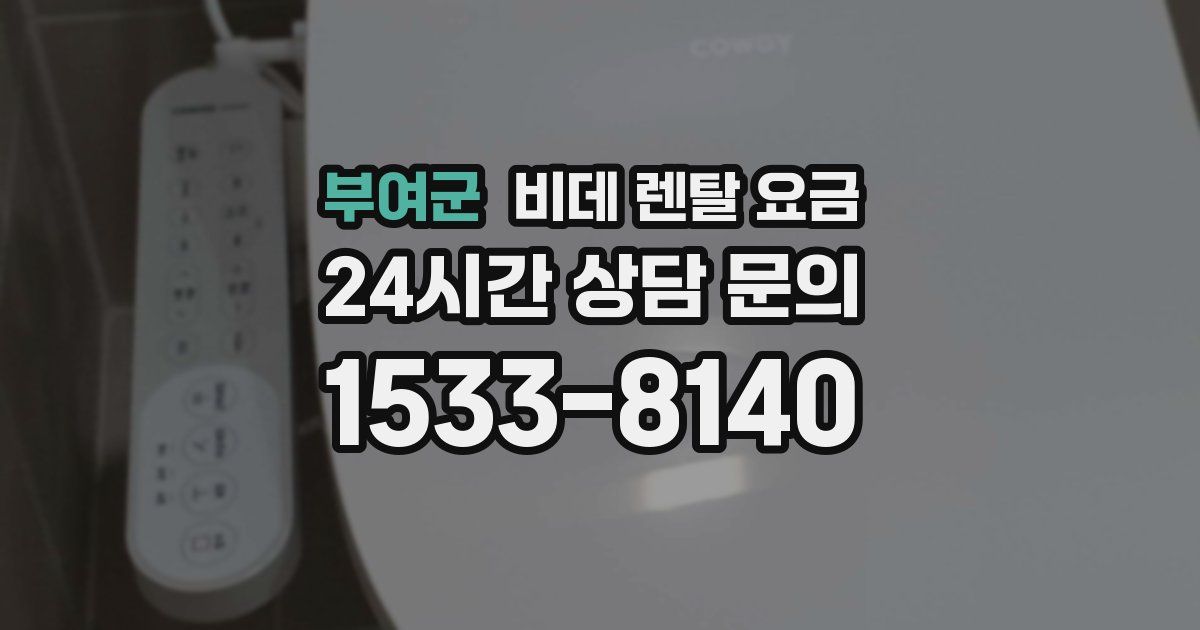 부여군 비데 렌탈 요금