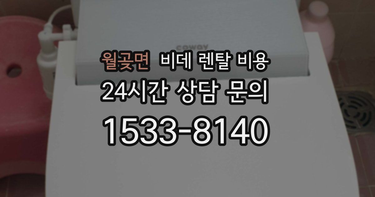 월곶면 비데 렌탈 비용