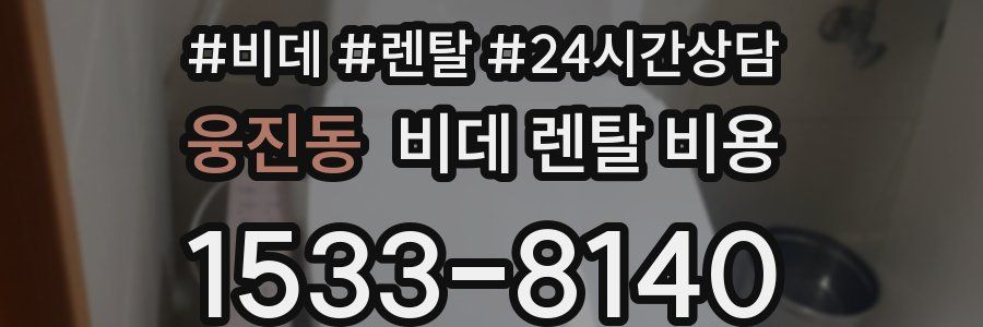 웅진동 비데 렌탈 비용