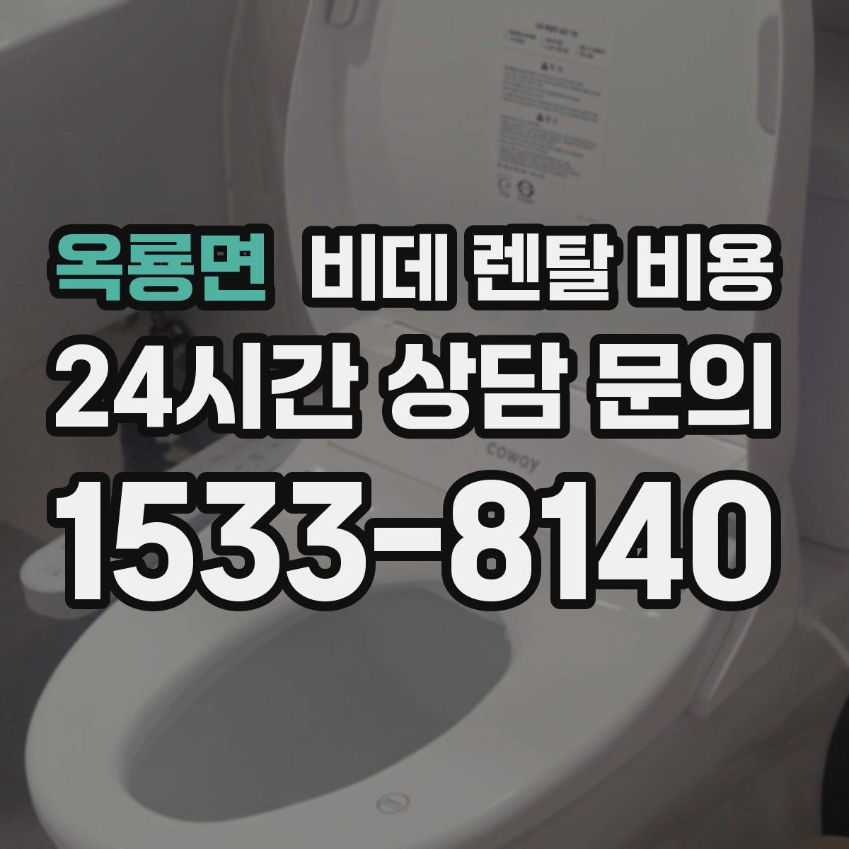 옥룡면 비데 렌탈 비용