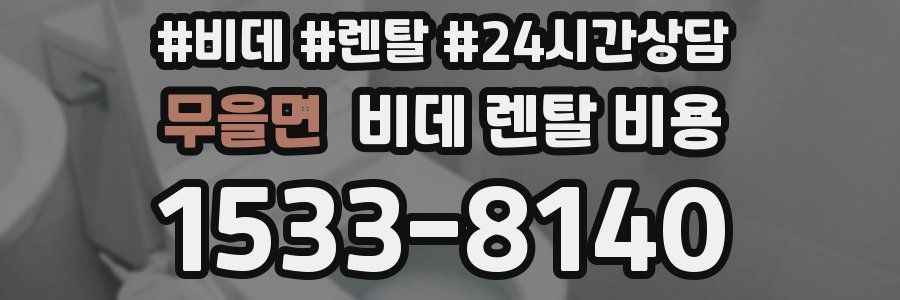무을면 비데 렌탈 비용
