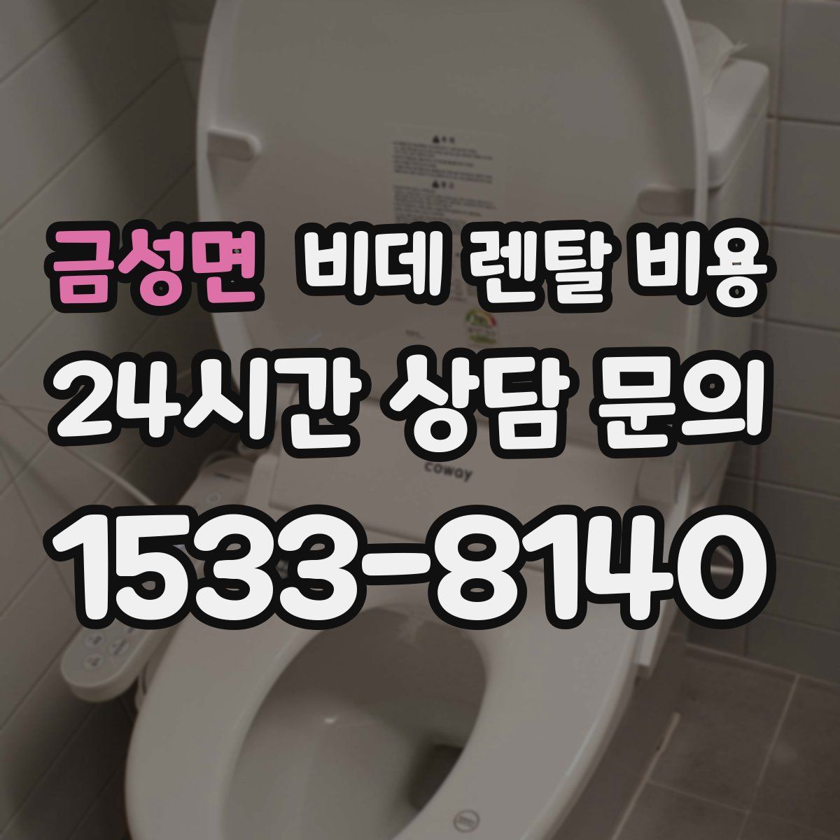 금성면 비데 렌탈 비용