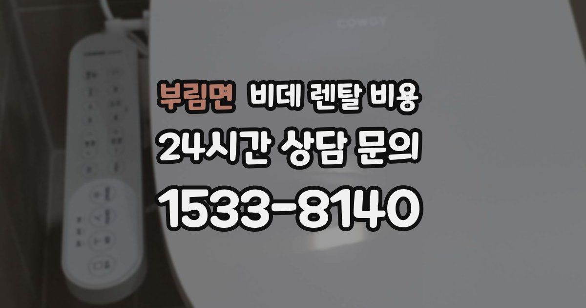 부림면 비데 렌탈 비용