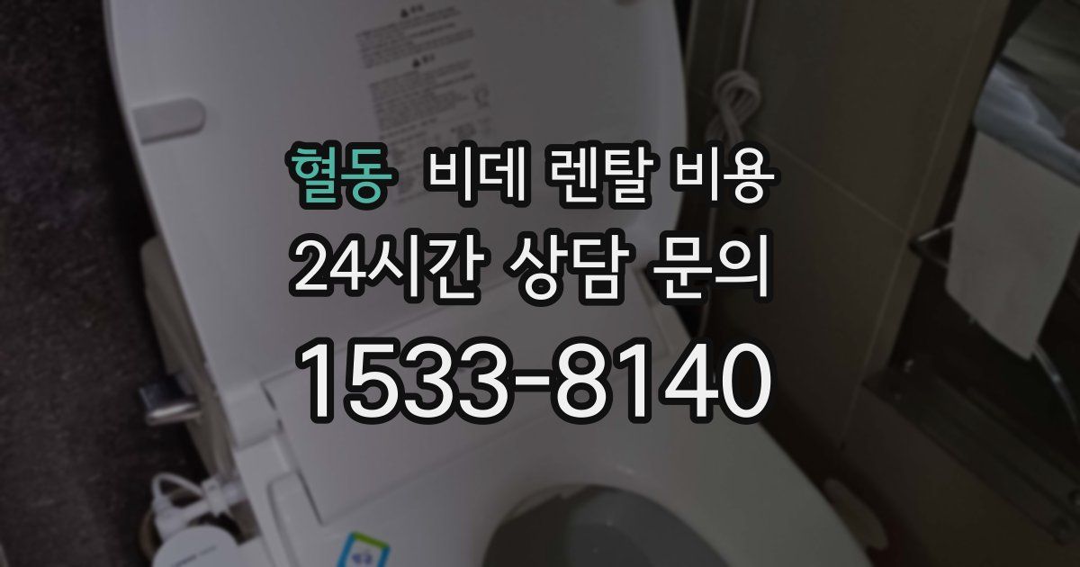 혈동 비데 렌탈 비용