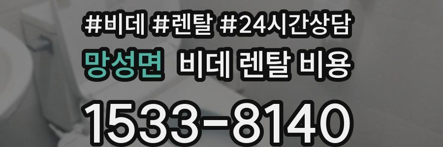 망성면 비데 렌탈 비용