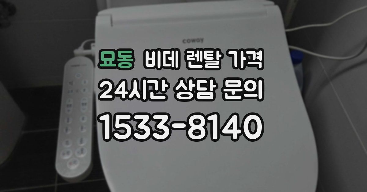 묘동 비데 렌탈 가격