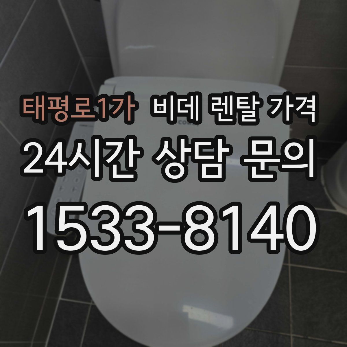 태평로1가 비데 렌탈 가격