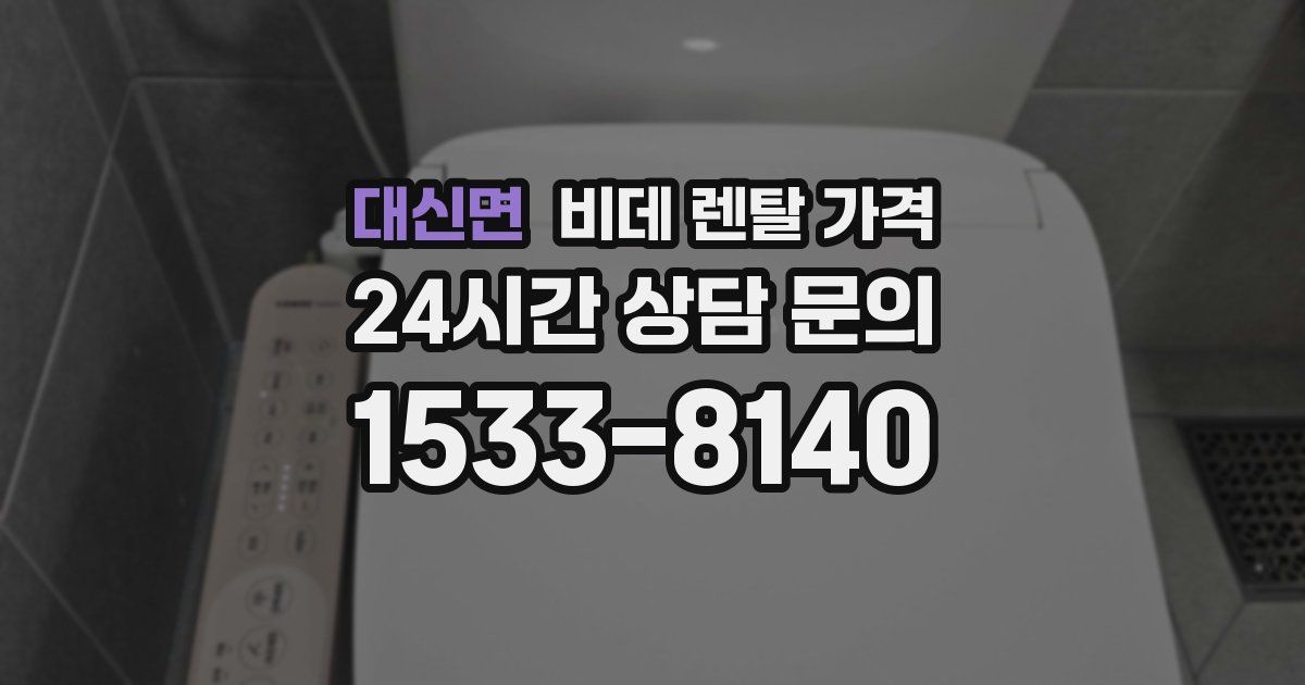 대신면 비데 렌탈 가격