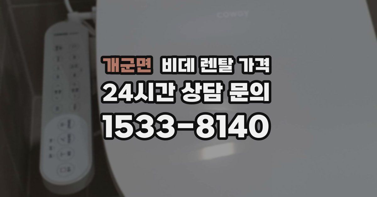 개군면 비데 렌탈 가격