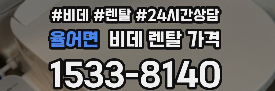 율어면 비데 렌탈 가격