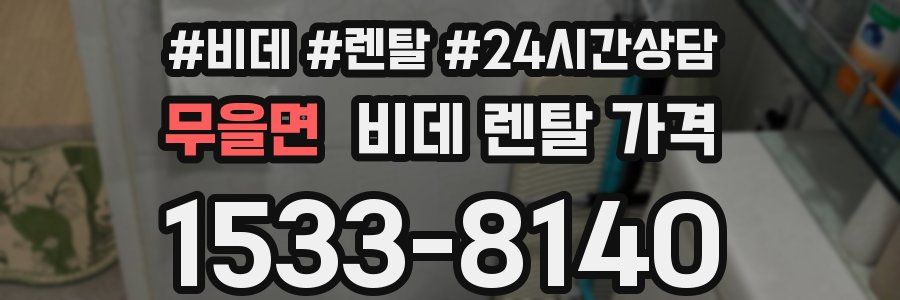 무을면 비데 렌탈 가격