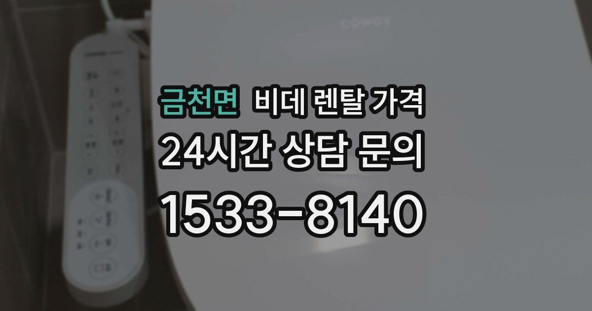 금천면 비데 렌탈 가격