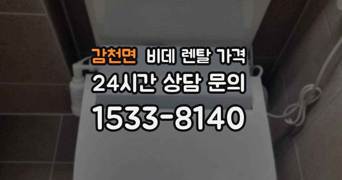 감천면 비데 렌탈 가격