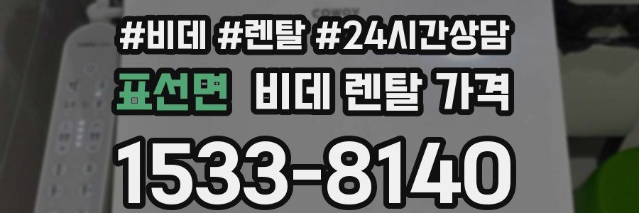 표선면 비데 렌탈 가격