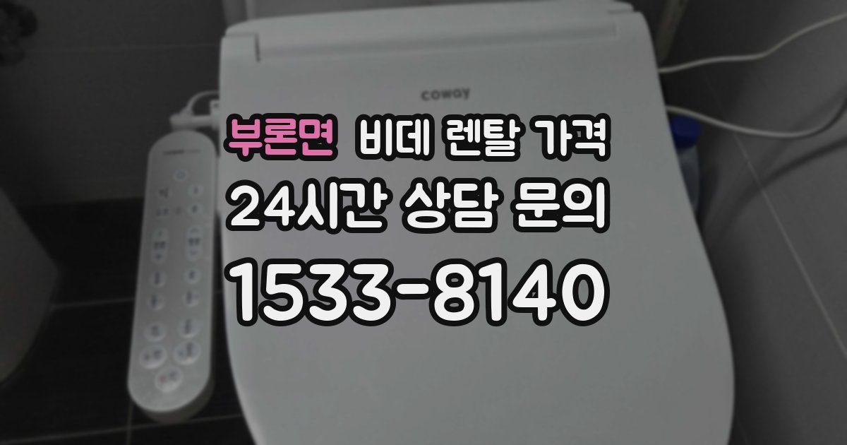 부론면 비데 렌탈 가격
