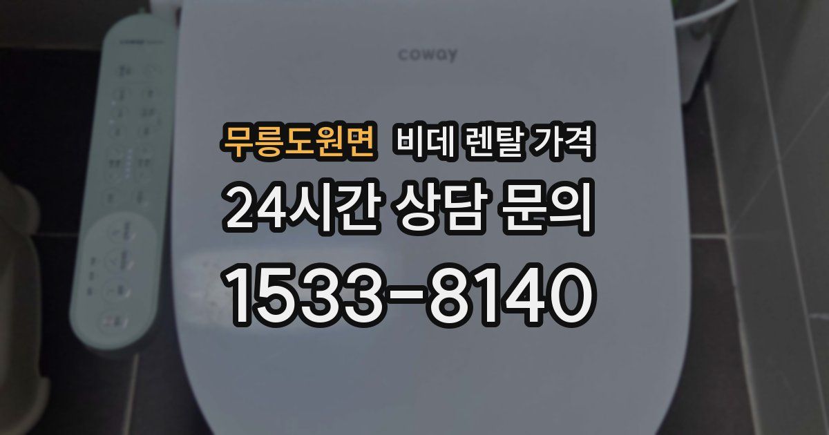 무릉도원면 비데 렌탈 가격