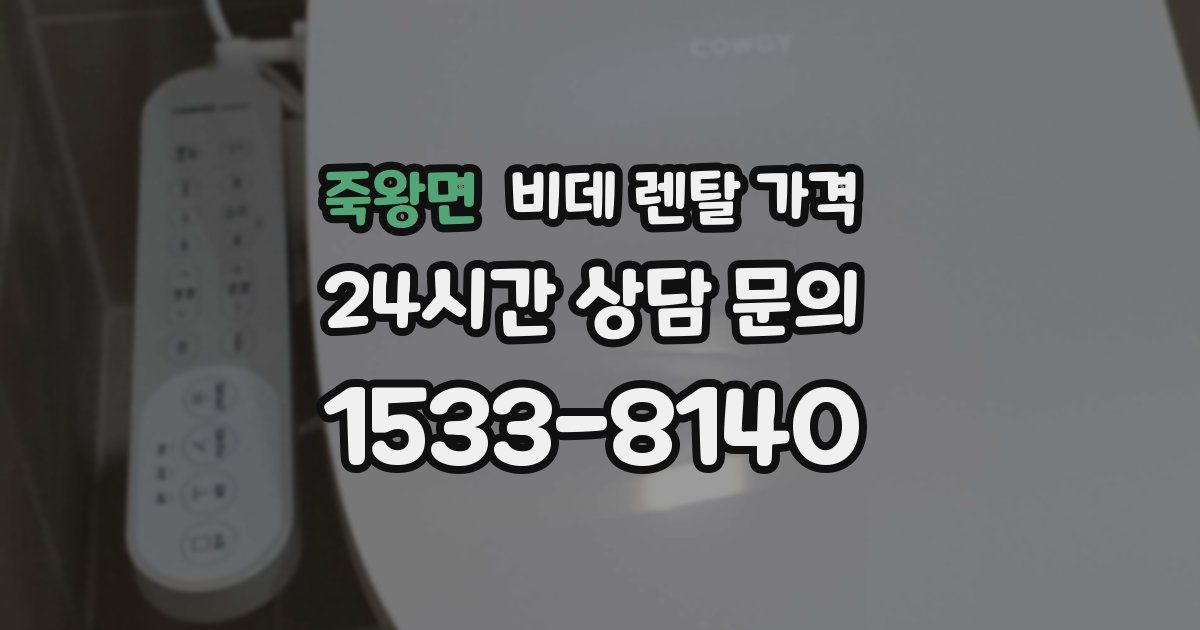 죽왕면 비데 렌탈 가격