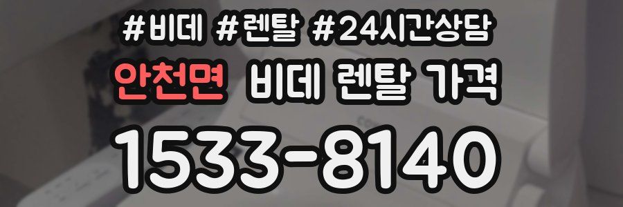 안천면 비데 렌탈 가격