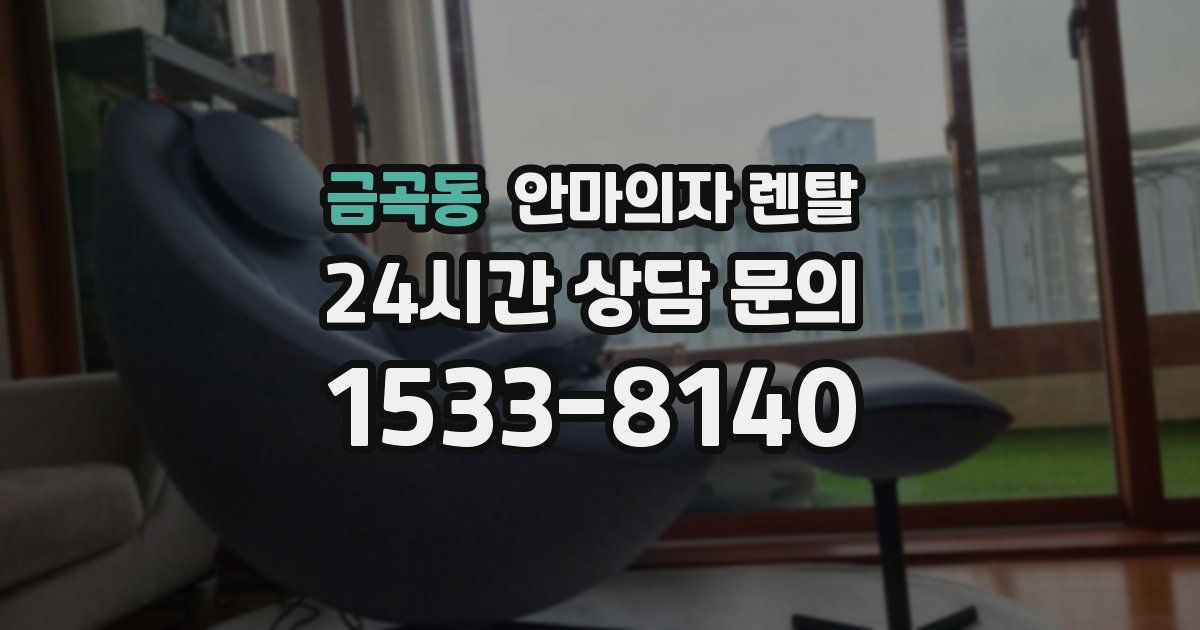 금곡동 안마의자 렌탈
