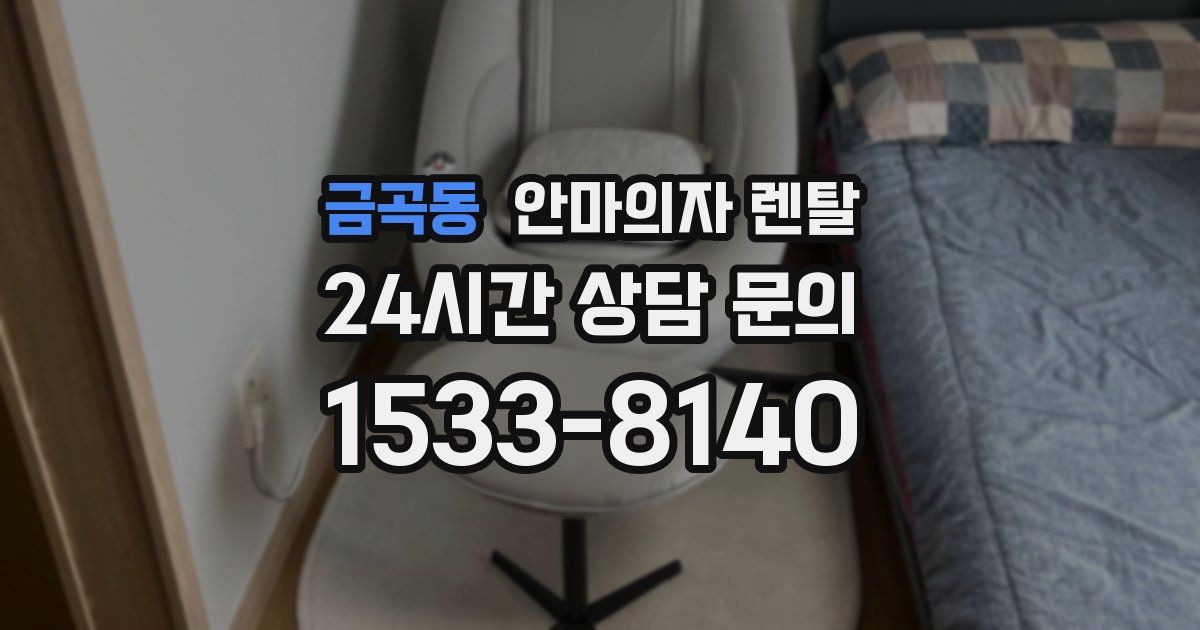 금곡동 안마의자 렌탈