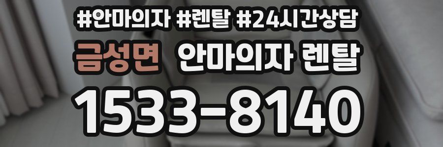 금성면 안마의자 렌탈