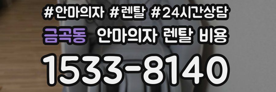 금곡동 안마의자 렌탈 비용